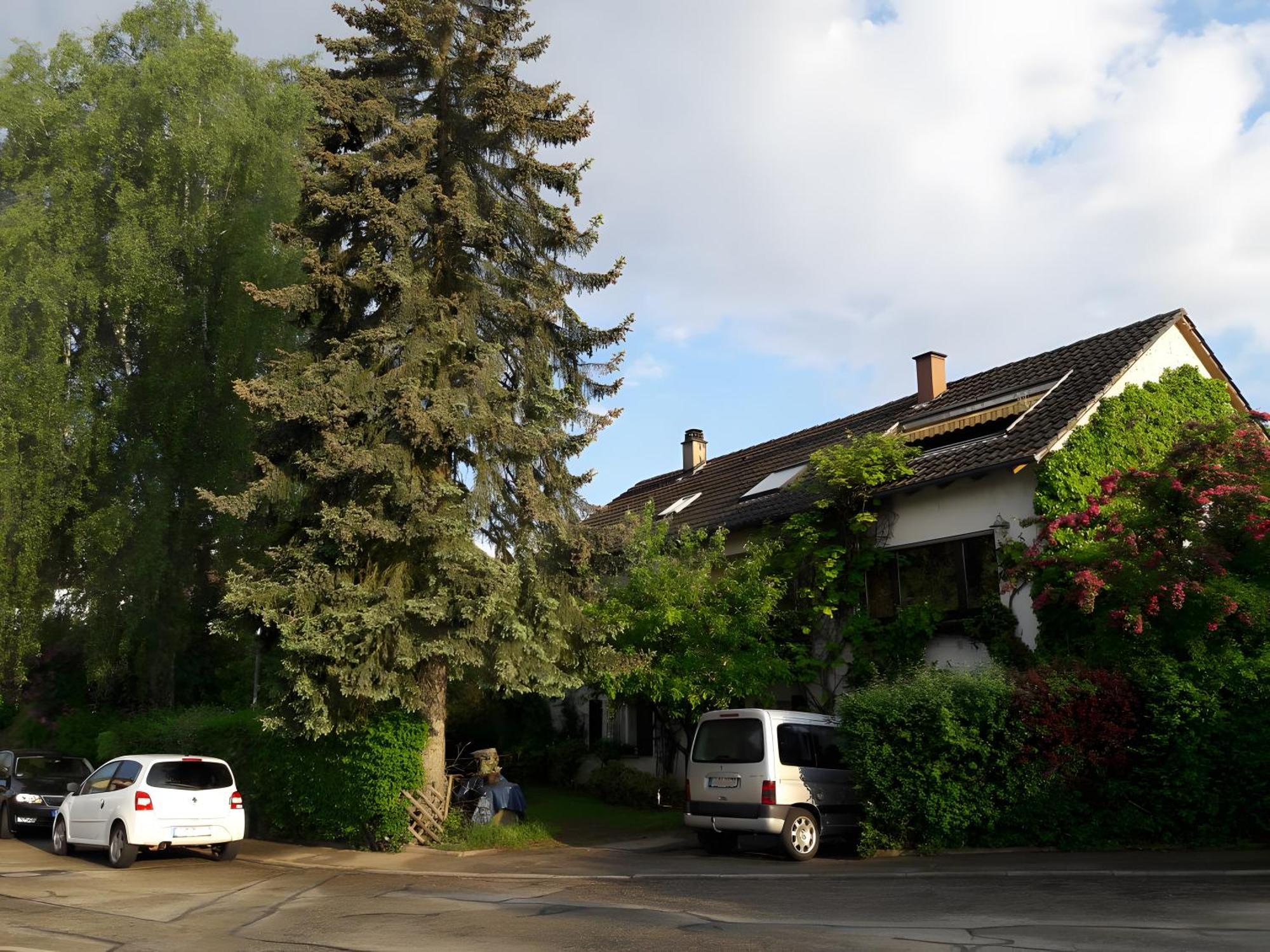 Haus Zur Bienenweide Apartman Schömberg Kültér fotó
